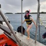 괌여행 호핑투어! 스노클링, 선상 낚시 체험 포함! 놀다괌 오딧세이선셋 돌핀크루즈