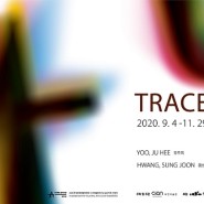 TRACE 展