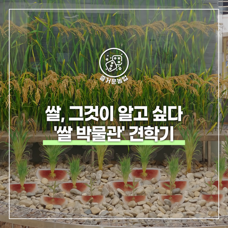 쌀, 그것이 알고 싶다🌾'쌀 박물관' 견학기 : 네이버 블로그