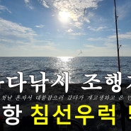 (바다낚시) 안흥 침선우럭 선상낚시 : 개인 독출_행운호 (2022.9.9)