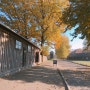 [폴란드] 크라쿠프에서 알차게 여행하기: 아우슈비츠 수용소, 비엘리치카 지하 소금광산에 다녀왔다 :)