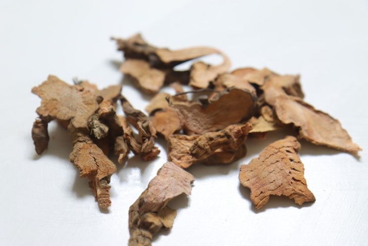 망개뿌리 효능(토복령 효능), 부작용 w. 통풍에 좋은 음식 : 네이버 블로그