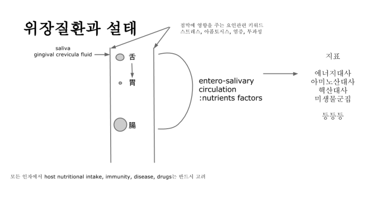 설진 : 위장질환과의 연관성 : 네이버 블로그