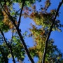 90번째 필름, 여름의 끝과 가을의 시작 / 코닥 엑타크롬 E100, Kodak Ektachrome E100 (Canon EOS-1N)