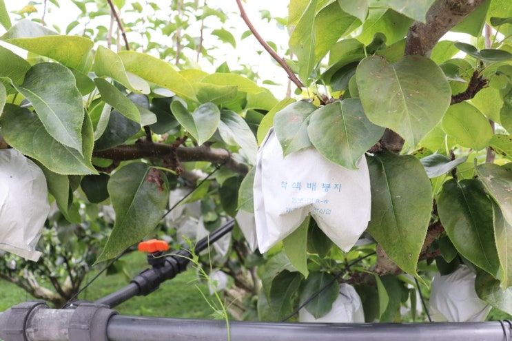 경남 삼천포 가볼만한곳 어린이 체험 찾는다면 배누리교육농장