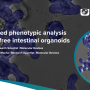 [실험노트] Label-free 장 오가노이드의 AI-enabled phenotypic analysis