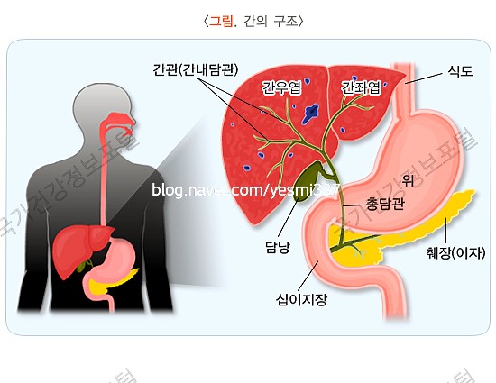 사람 간 위치 및 역할 정확하게 알기 : 네이버 블로그
