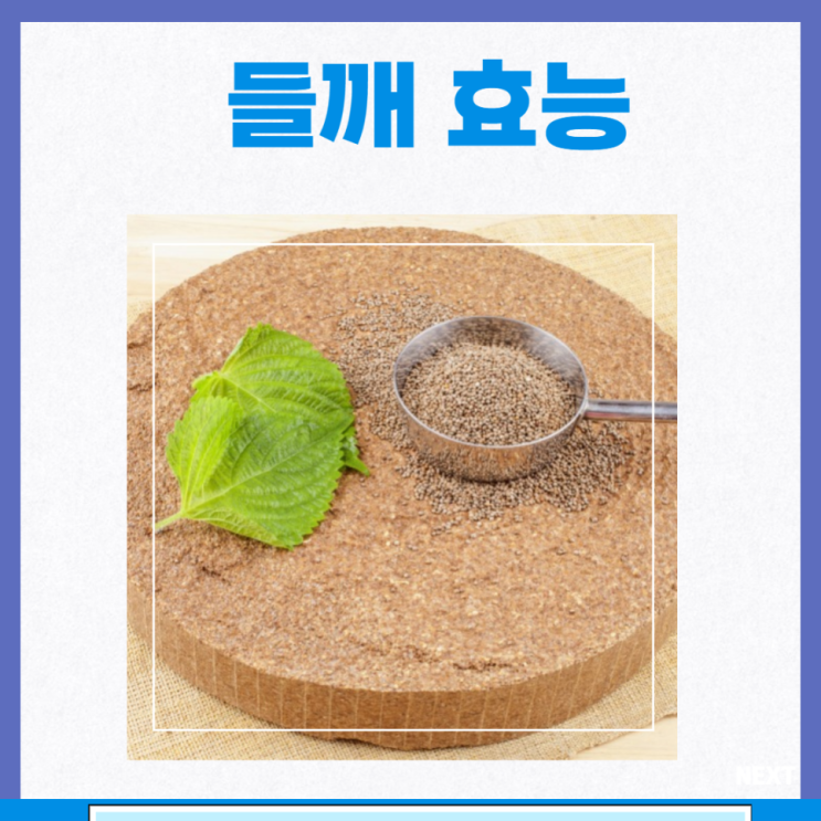 들깨 효능 들깨가루 칼로리 들기름 효능 부작용 : 네이버 블로그