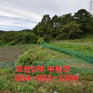 예천 신풍리 밭 5535만원 경북도청15분 (땅토지매매 부동산)