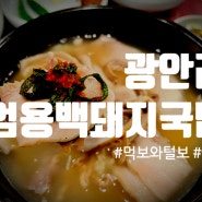 [광안리 맛집] 부산사람이 맛 본 엄용백 돼지국밥 내돈내산 찐리뷰 (먹보와 털보 부산편)