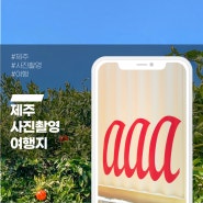 제주도 여행 추천 제주 신상 카페 aaa 소개합니다.