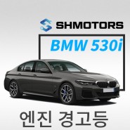 [SH모터스 양평점]바노스는 무엇? BMW 530i 엔진경고등 흡기 바노스 솔레노이드 밸브, 바노스(캠 어드저스트) 교환