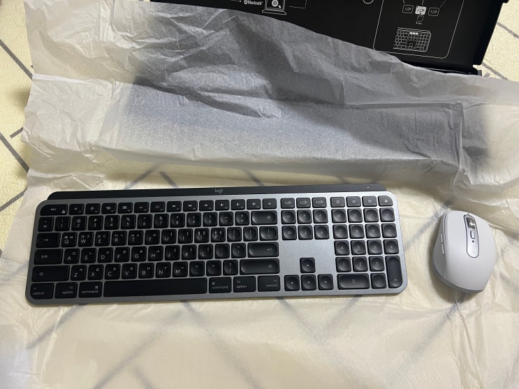 맥 전용 키보드 & 마우스로 추천받은 '로지텍 Mx Keys For Mac' & '로지텍 Mx Anywhere 3 For Mac ...