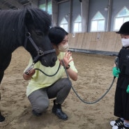 궁평캠프 승마체험, 궁평항 나들이