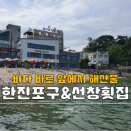 당진 가볼만한곳::당진 한진포구, 바다 앞 선창횟집으로-:)