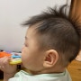 바비온 아기 바리깡 이발기로 6개월 아이 커트 후기