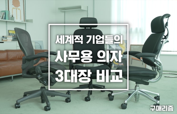 복지 좋은 회사들이 쓴다는 세계 3대 사무용 의자 비교 [가구 추천] : 네이버 블로그
