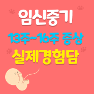 임신중기 13주 14주 15주 16주까지의 기록(+입덧에 효과 본 음식)