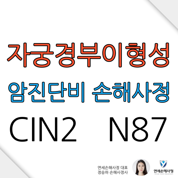 자궁이형성증(N871) CIN2 보상 반드시 확인 받으세요 : 네이버 블로그
