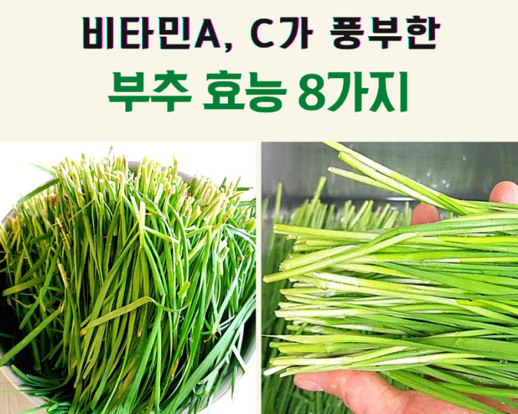 부추 효능 8가지 : 네이버 블로그