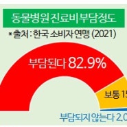 펫보험 강아지보험 위풍댕댕