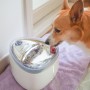 관리 쉬운 강아지급수기 쿠쿠넬로 자동급수기 2주 사용기