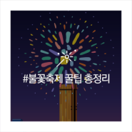 한화와 함께하는 서울세계불꽃축제 2022! 여의도 교통편, 필수 준비물, 타임 테이블 등 팁 총정리!