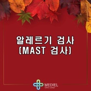 알레르기검사 - 마스트(MAST) 검사란?