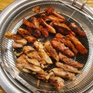맛있었던 숯불 닭갈비 안양 평촌 맛집, [계돈]