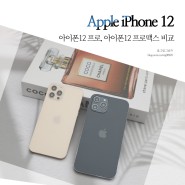 아이폰12 PRO 프로, 아이폰 12 프로맥스 PROMAX 미드나잇블루 색상, 스펙, 카메라 차이는?