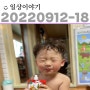 일상:)220912-18#건658-664d;/강릉아산병원/입체초음파/이른육퇴 고마워/핸드폰 저장공간 정리/나는야 36주 임산부/백두대간수목원 호랑이 만나기🐯/오가닉그라운드 -애정