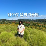 경기도 연천 댑싸리공원으로 떠난 가을 여행 솔직 후기!