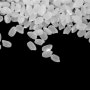 쌀 씻은 물 꼭 살펴야 하는 이유… 곰팡이 독소가 온갖 장애 유발