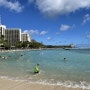 22 뒤늦은 하와이 신혼여행기 14 - 와이키키에서의 오후
