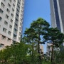 시흥시 조남동 목감아파트 <신안산선 목감역세권 아파트 39평> 가장 저렴한 매매를 원한다면