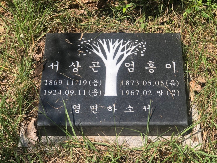 (경북 안동) 수목장 묘비석 판매 설치하였습니다. (소형비석 판매, 수목장 비석, 작은비석, 표지석, 와비판매, 묘지석판매 ...