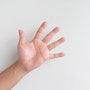 [수련일지] 손바닥과 손가락 기반의 중요성