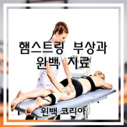 [윈백]햄스트링 부상과 윈백 치료