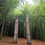 [Photo] 아홉산숲. 부산 기장 치유의 숲