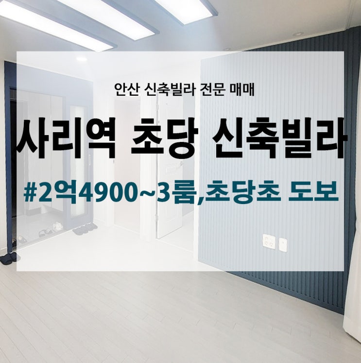 안산사리역신축빌라매매/사리역3룸빌라/초당쓰리룸빌라/사동신축빌라/안산신축빌라/2억원대신축빌라/안산초당빌라/안산사동쓰리룸/안산초당 ...