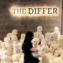 THE DIFFER 대구 중구 카페 더디퍼 * 비숑인형 가득한 애견동반 cafe