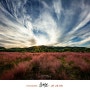 삶의 설레임, 풍경! 그 감동 #028 시간의 기록 with pink in 여주 .in Beautiful Korea © JAE JIN YUN Copyright .