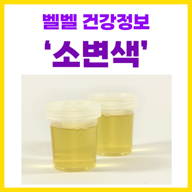 소변색 건강상태 확인 노란 이유 당뇨소변색 단백뇨 : 네이버 블로그