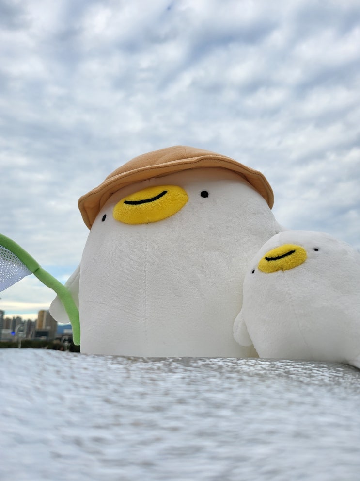 아기오구 펀딩 굿즈 아기오구 인형 (부제: 아기오구와 떠난 나들이) : 네이버 블로그