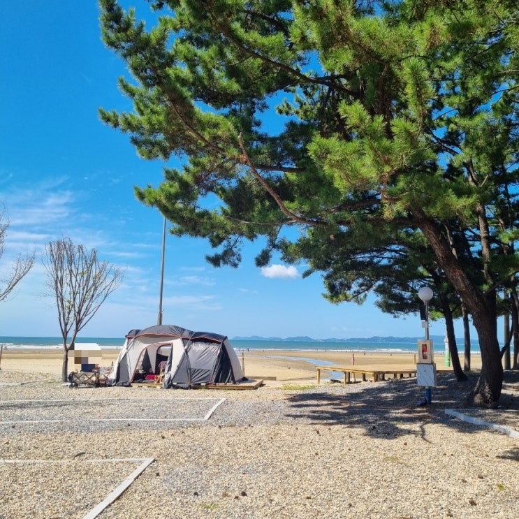태안 신생캠핑장, 꿈꾸는 바다 캠핑장 솔직후기 : 네이버 블로그