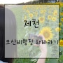 제천 :: 가볼만한곳 BTS 뮤비 촬영지 모산비행장!