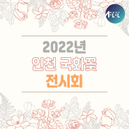 [올어바웃인천-인천정보] 2022년 인천 국화꽃 전시회