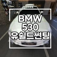 유쉴드 어비스,BMW 530 썬팅 대전 전문점 The180