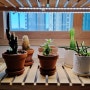 파인라이트 식물성장 LED바 설치후기