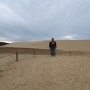 신두리 해안사구, 한국에서 사막을 경험하는 방법입니다. (아이들에게 잊지못할 경험을 선물하세요)